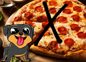 can dogs eat pizza