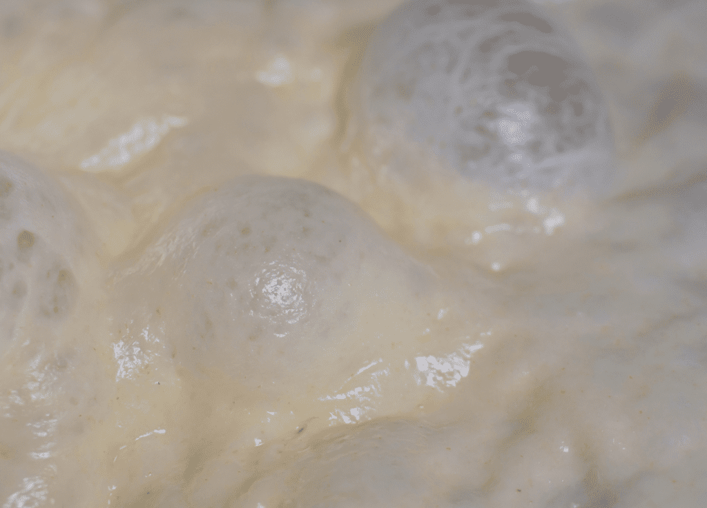 How Long can Pizza Dough Sit out? Pizza Dough Rise Time Explained