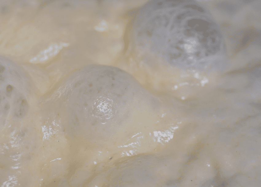 How Long can Pizza Dough Sit out? Pizza Dough Rise Time Explained