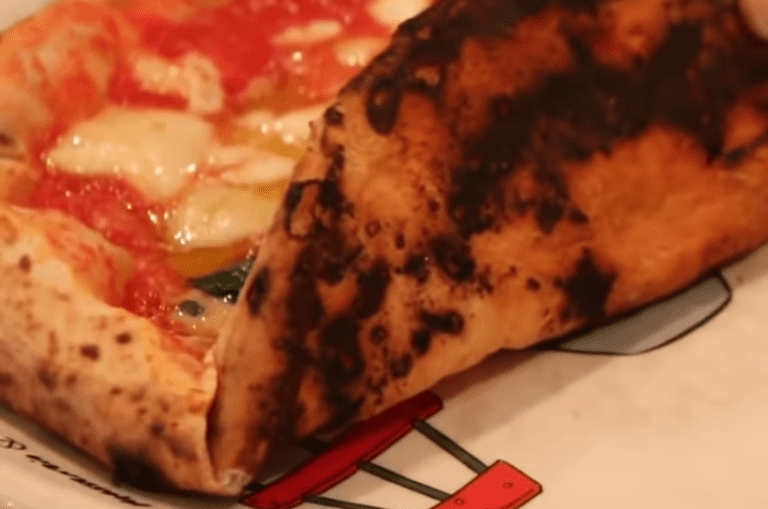 Top 14 Reasons for Burnt Pizza BottomFind Yours…